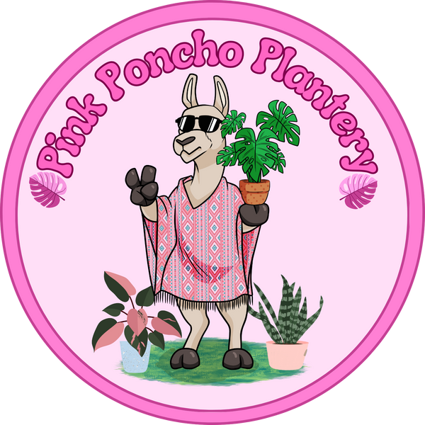 Pink Poncho Plantery